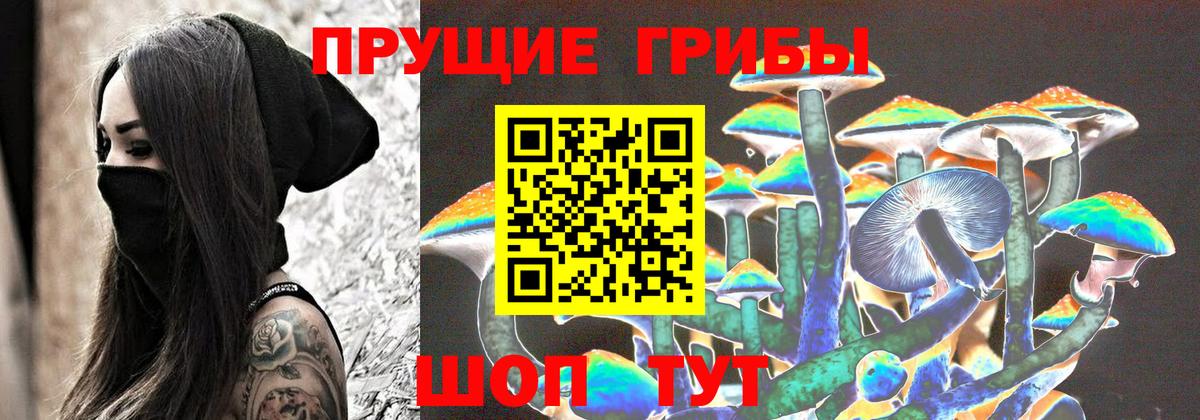 где можно купить наркотик  Псилоцибиновые грибы Cubensis  Тихорецк  Вход с VPN  Галлюциногенные грибы прущие грибы 